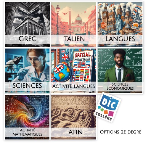 Options 2e degré