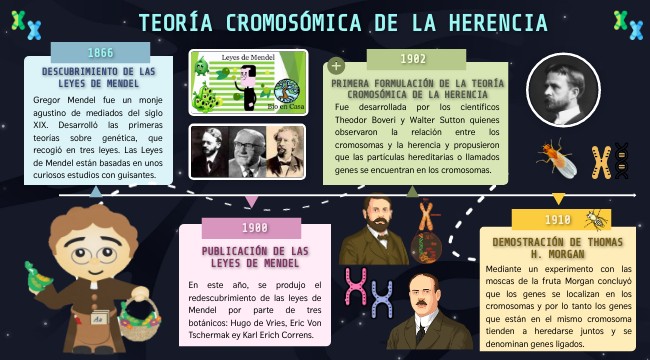 Formulación De La Teoría Cromosómica De La Herencia view.genially.com