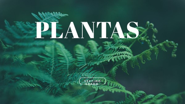 PLANTAS- SÉPTIMO GRADO | Genially
