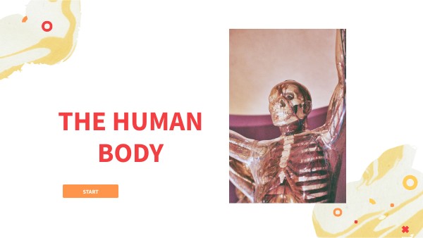 THE BODY | Genially