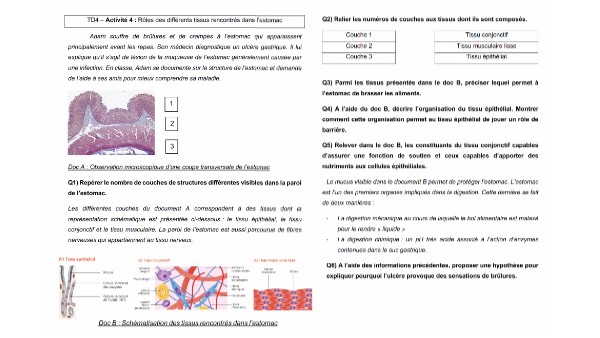 TD4 exercice | Genially