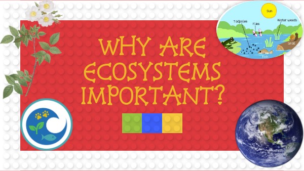 Ecosystems. | Genially