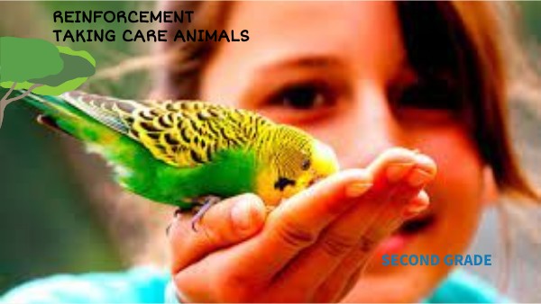 REINFORCEMENT TAKE CARE ANIMALS SECOND GRADE | Genially