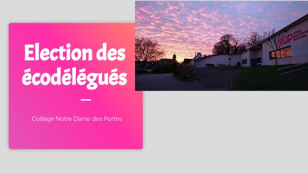 Ecodélégués Collège NDP | Genially
