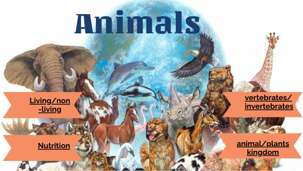 ANIMALS | Genially