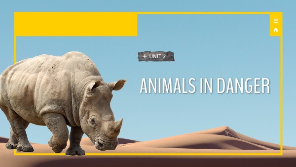 Animals in Danger