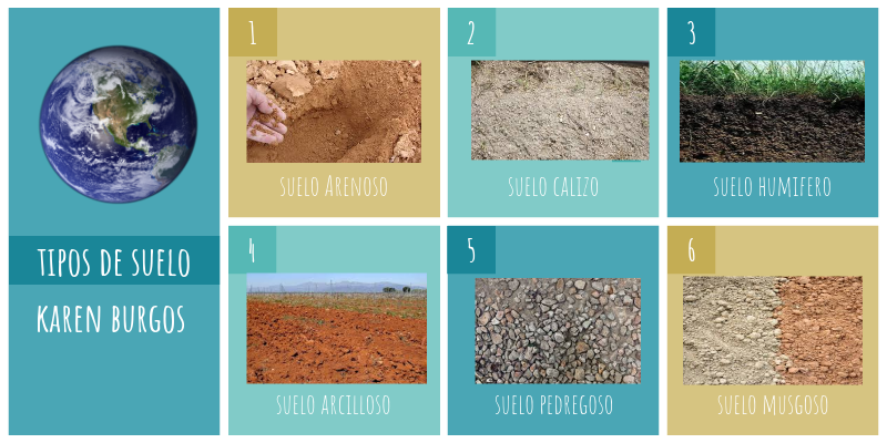 tipos de suelo | Genially