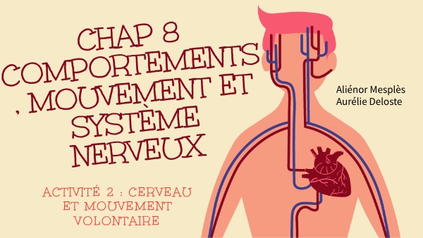 Chapitre 8, activité 2 | Genially