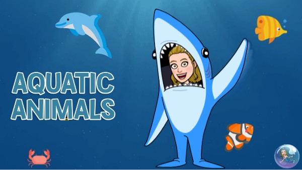 DRAG AND DROP 2nd grade ANIMALS | Genially
