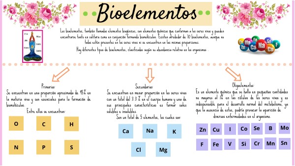 Bioelementos.