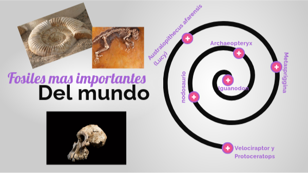 Fósiles mas importantes del mundo. | Genially