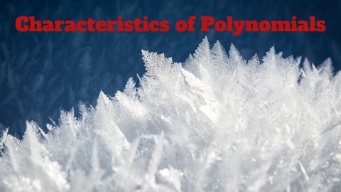 3.5 Characteristics of Polynomials (1) | Genially