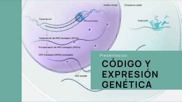 Código y expresión genética