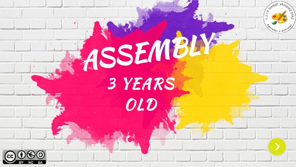 ASSEMBLY 3 YEARS