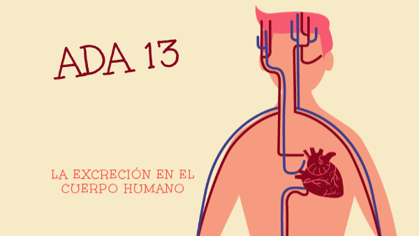 ADA 13 y 14 5to