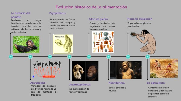 Evolución histórica de la alimentación