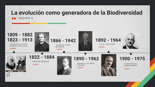 La Evolucion Como Generadora De Biodiversidad