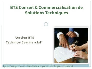 BTS CCST | Genially