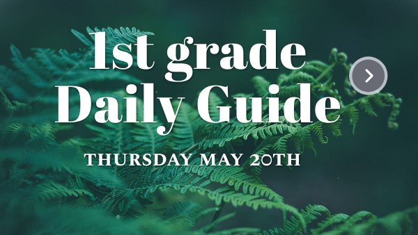 First grade daily guide