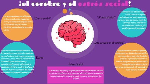 El cerebro y el estrés social | Genially