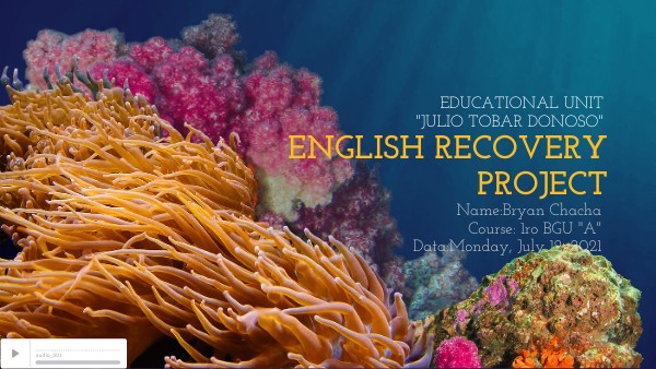 Recovery project english