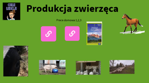 Produkcja zwierzęca