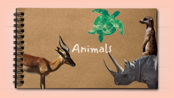 10 zwierząt po angielsku - animals | Genially
