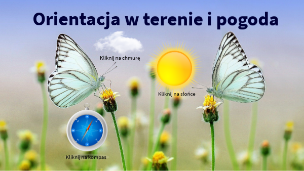 Orientacja W Terenie I Pogoda Sprawdzian Wsip Orientacja w terenie i pogoda - powtórzenie wiadomości | Genially