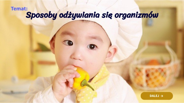 Sposoby odżywiania się organizmów | Genially
