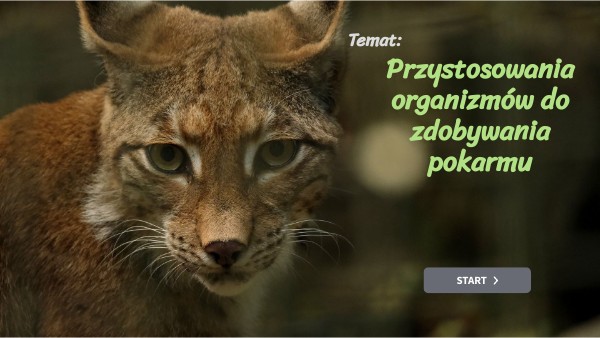 Przystosowania organizmów do zdobywania pokarmu | Genially