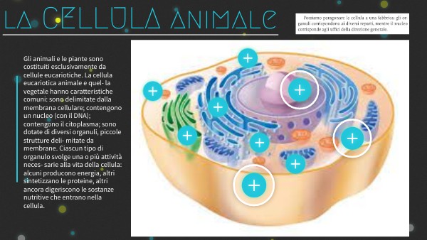 La cellula