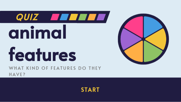 ANIMAL FEATURES | Genially