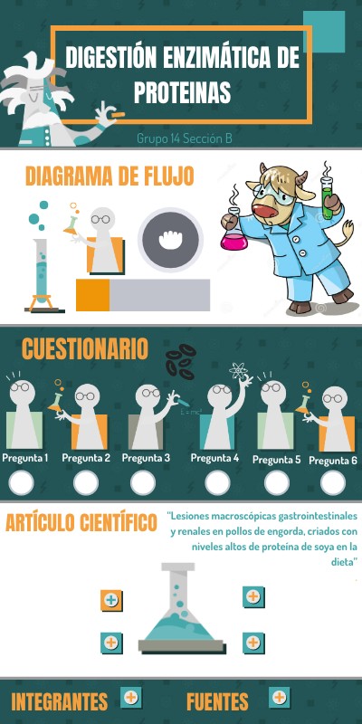 EINSTEIN INFO | Genially