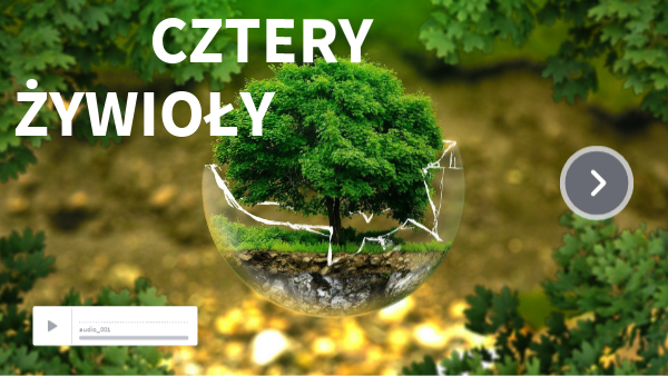 ŻYWIOŁY