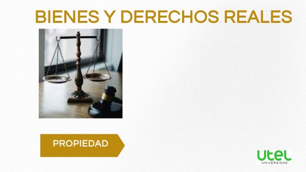 RECUPERACIÓN 2 Bienes y derechos reales | Genially