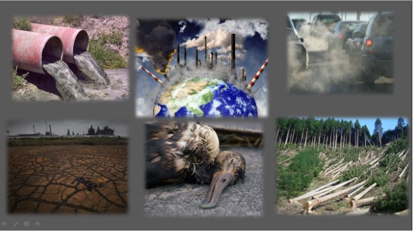 POLLUTION PRESENTATION