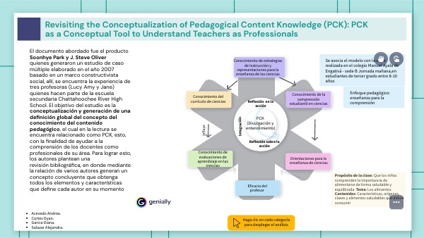 Conceptualization of Pedagogical Content Knowledge (PCK)