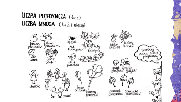 Sprawdzian Kl 2 Liczba Mnoga I Pojedyncza