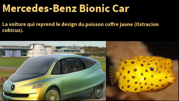 Genially sans titre