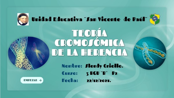 Formulación De La Teoría Cromosómica De La Herencia view.genially.com