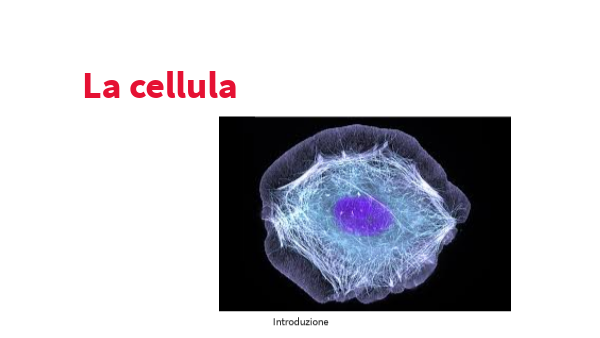 La cellula | Genially