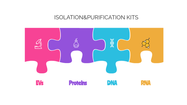 Purifications kits | Genially