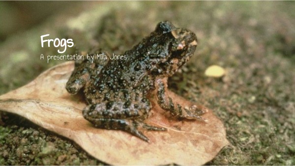 FROG PRESENTATION | Genially