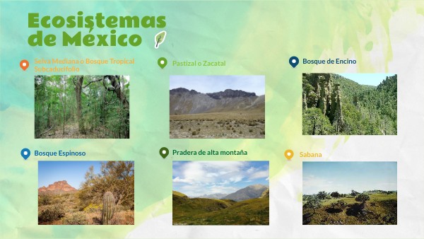 Ecosistemas de México | Genially