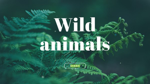 WILD ANIMALS | Genially