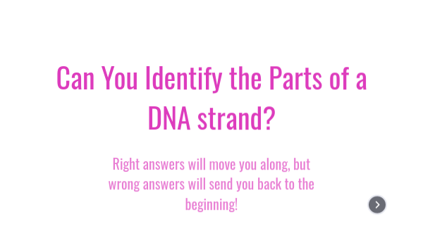 DNA Structure 1 | Genially