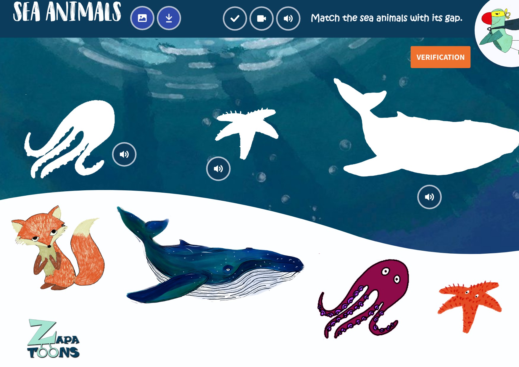 16 sea animals | Genially