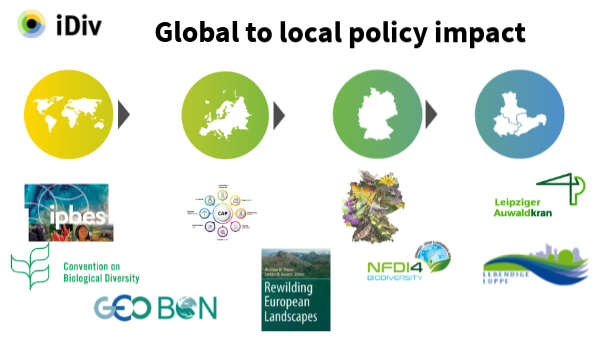 Science-Policy | Genially