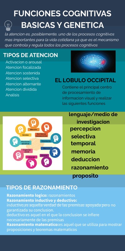 INFO MULTICOLOR | Genially