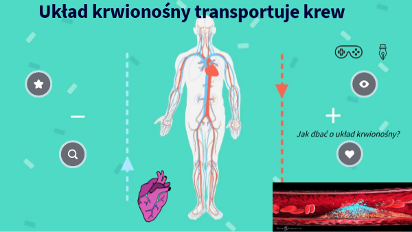 Ukł. krwio - przyroda | Genially